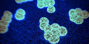 Antibiotic resistance