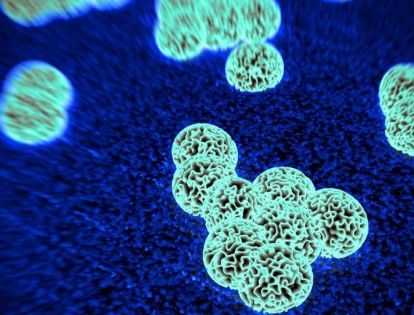 Antibiotic resistance